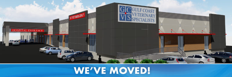 Gulf Coast Veterinary Specialists