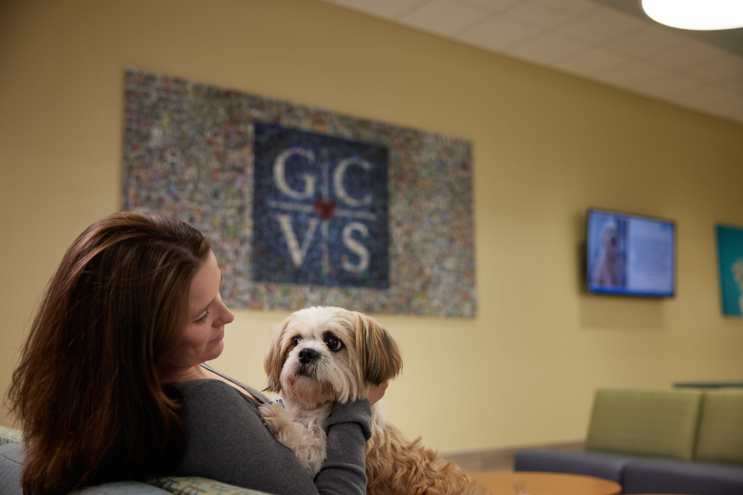 Lobby Sign with Dog